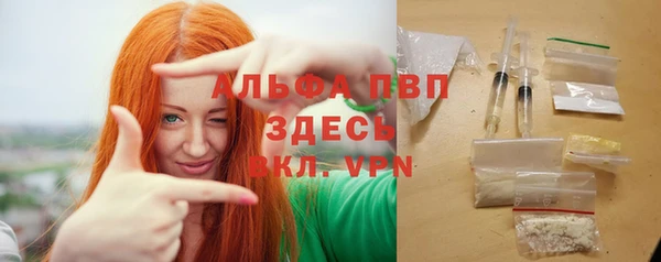 spice Арсеньев