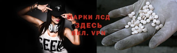 spice Арсеньев
