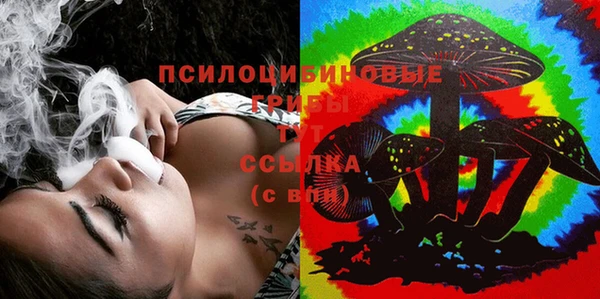 спиды Армянск