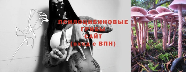 spice Арсеньев