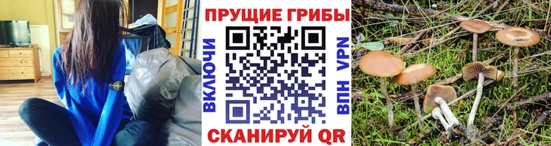 Псилоцибиновые грибы прущие грибы  Сухиничи 